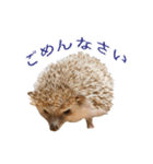 もぐらとひぐま（個別スタンプ：9）