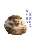もぐらとひぐま（個別スタンプ：15）