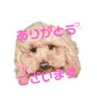 るなモカスタンプ（個別スタンプ：5）