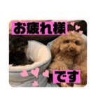 るなモカスタンプ（個別スタンプ：8）