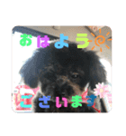 るなモカスタンプ（個別スタンプ：13）