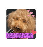 るなモカスタンプ（個別スタンプ：15）