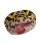 ヒョウモントカゲモドキのつぶ（個別スタンプ：1）