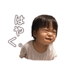 バルサミコ1歳日記（個別スタンプ：38）