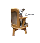 動物と食べ物の使えるスタンプ（個別スタンプ：4）