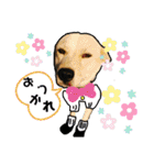 動物と食べ物の使えるスタンプ（個別スタンプ：18）