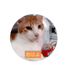 なっちゃんどす（個別スタンプ：1）