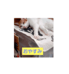 なっちゃんどす（個別スタンプ：2）
