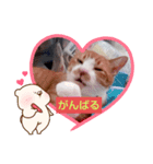 なっちゃんどす（個別スタンプ：5）