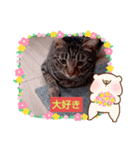 なっちゃんどす（個別スタンプ：7）