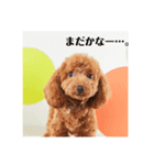 ラデュレのスタンプ（個別スタンプ：6）