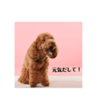 ラデュレのスタンプ（個別スタンプ：8）