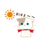 ぴかぴかにゃんこ（個別スタンプ：1）