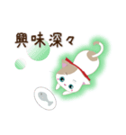 ぴかぴかにゃんこ（個別スタンプ：4）