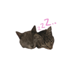 ルナもなか2.（個別スタンプ：7）