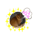 MOKO  ITO（個別スタンプ：8）