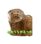 MOKO  ITO（個別スタンプ：16）