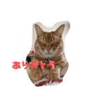 MOKO  ITO（個別スタンプ：19）