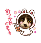 ハチワレのクー2（個別スタンプ：17）