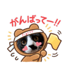 ハチワレのクー2（個別スタンプ：20）
