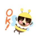 ハチワレのクー2（個別スタンプ：21）