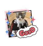 エアロちゃんのスタンプ（個別スタンプ：2）