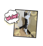エアロちゃんのスタンプ（個別スタンプ：3）