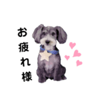 我が家の愛犬ミルク（個別スタンプ：1）