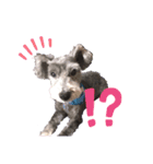 我が家の愛犬ミルク（個別スタンプ：4）