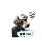 我が家の愛犬ミルク（個別スタンプ：5）