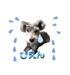 我が家の愛犬ミルク（個別スタンプ：6）