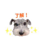 我が家の愛犬ミルク（個別スタンプ：8）
