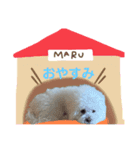 うちのまるちゃんスタンプ♬（個別スタンプ：3）