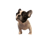 BUBU0922（個別スタンプ：7）