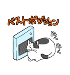 表現豊かな猫達inWinter（個別スタンプ：36）