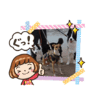 ボーダーコリー バンビveryナイス（個別スタンプ：6）