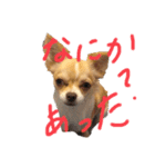 はるちゃん その9（個別スタンプ：1）
