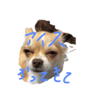 はるちゃん その9（個別スタンプ：2）