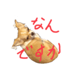 はるちゃん その9（個別スタンプ：3）