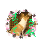はるちゃん その9（個別スタンプ：4）