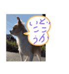 はるちゃん その9（個別スタンプ：6）