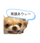 はるちゃん その9（個別スタンプ：7）