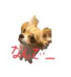 はるちゃん その9（個別スタンプ：8）