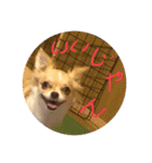 はるちゃん その9（個別スタンプ：9）
