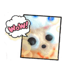 可愛い日常のあいさつ（個別スタンプ：8）