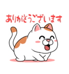 太っちょ猫【感謝編】（個別スタンプ：2）