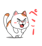 太っちょ猫【感謝編】（個別スタンプ：11）