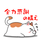 太っちょ猫【感謝編】（個別スタンプ：27）