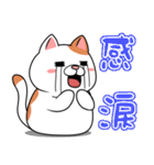 太っちょ猫【感謝編】（個別スタンプ：31）
