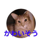 レオたんスタンプ2だよ（個別スタンプ：2）